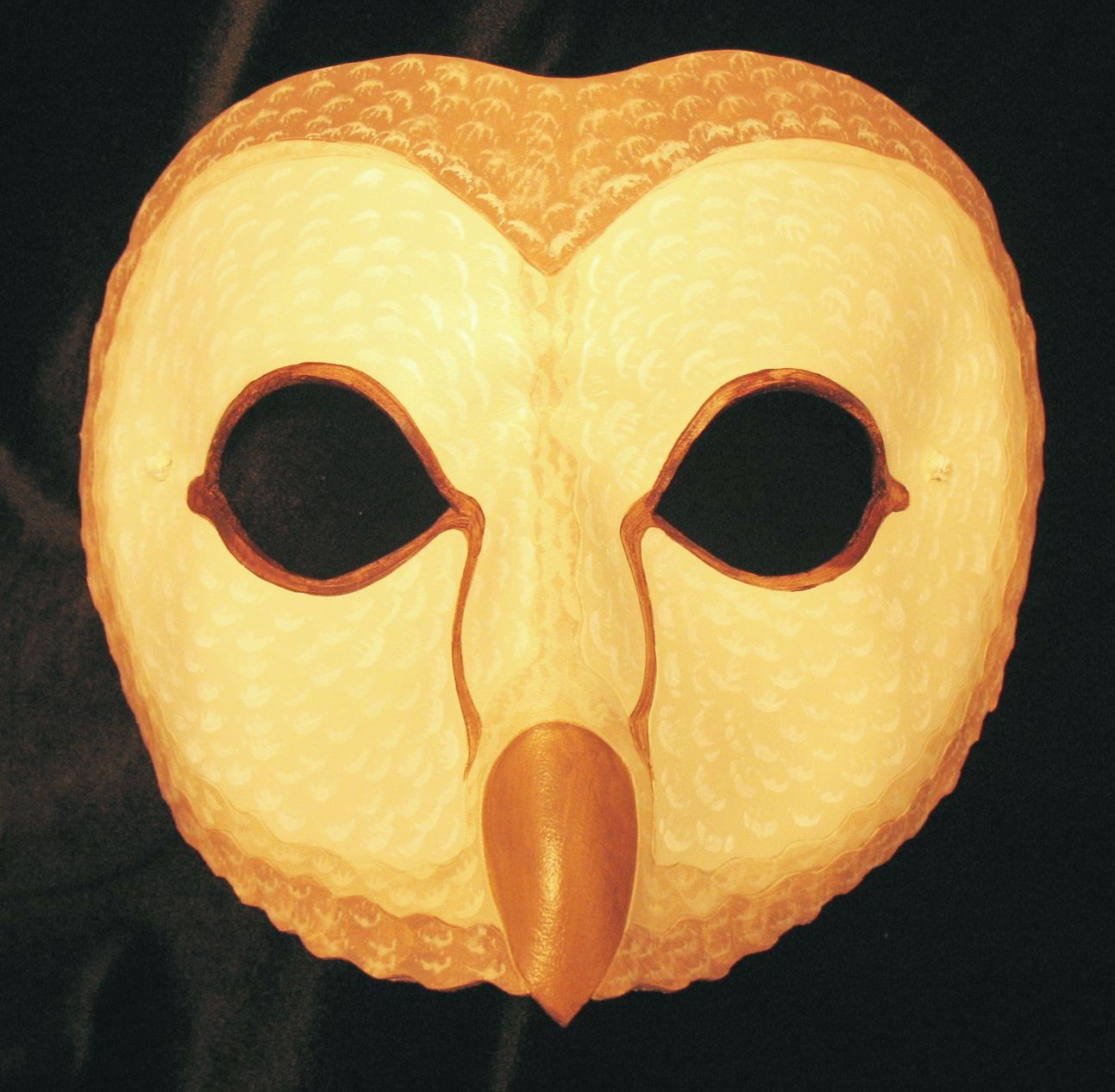 Barn owl mask.