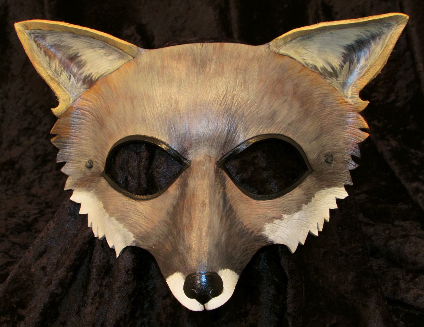 Grey fox mask.